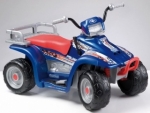 Игрушка эл/пр. POLARIS 400 NEW