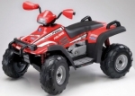 Игрушка эл/пр. POLARIS 700 TWIN